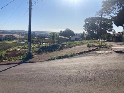 Terreno para Venda, em Apucarana, bairro Ncleo Habitacional Afonso Alves de Camargo