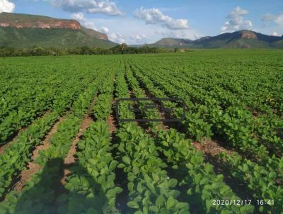 Fazenda para Venda, em Monte do Carmo, bairro .