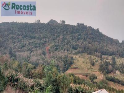 Chcara para Venda, em Taquara, bairro FEIXE, 2 dormitrios, 1 banheiro