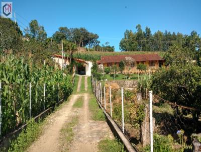 Chcara para Venda, em Pinhalzinho, bairro Centro, 3 dormitrios, 4 banheiros, 1 sute, 2 vagas