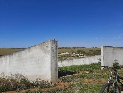 Terreno para Venda, em Maca, bairro Horto