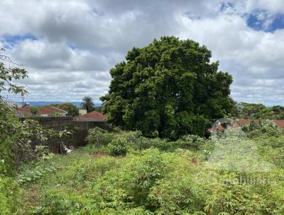 Terreno para Venda, em Altinpolis, bairro Vila Maria