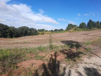 Stio para Venda, em Araucria, bairro Guajuvira, 1 dormitrio, 1 banheiro