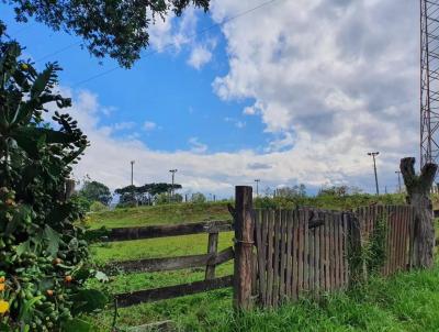 Terreno para Venda, em Araucria, bairro Passauna