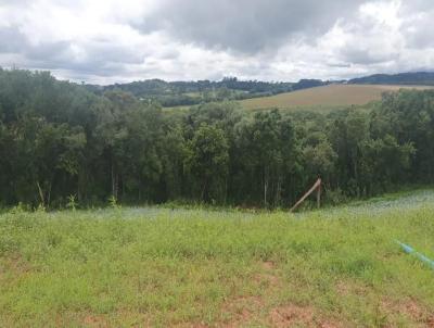 Chcara para Venda, em Araucria, bairro Guajuvira, 1 dormitrio, 1 banheiro