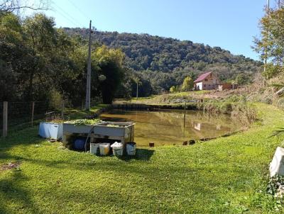 Stio para Venda, em Marau, bairro .