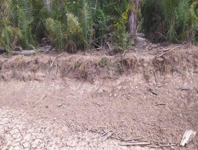 Fazenda para Venda, em Chapadinha, bairro Aeroporto