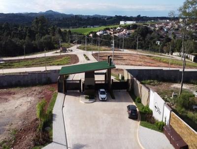 Terreno para Venda, em Campo Largo, bairro Vila Rivabem