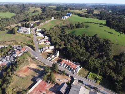 Terreno para Venda, em Campo Largo, bairro Campo do Meio