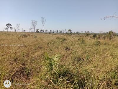 Fazenda para Venda, em Brasnorte, bairro rural