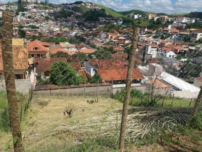 Terreno para Venda, em Juiz de Fora, bairro Quintas das Avenidas