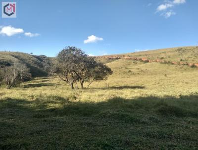 Stio para Venda, em Pinhalzinho, bairro Centro