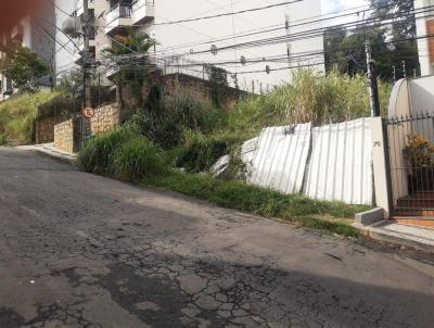 Terreno para Venda, em Juiz de Fora, bairro Residncia