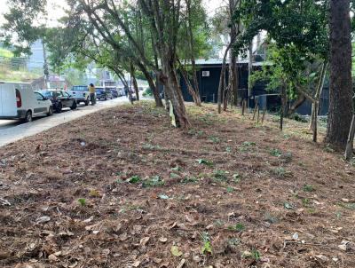 Terreno Comercial para Venda, em Bragana Paulista, bairro Taboo