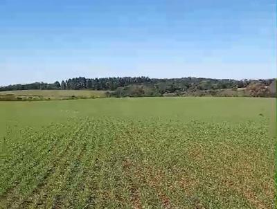 Chcara para Venda, em Santa Cruz do Sul, bairro Cerro Alegre Alto