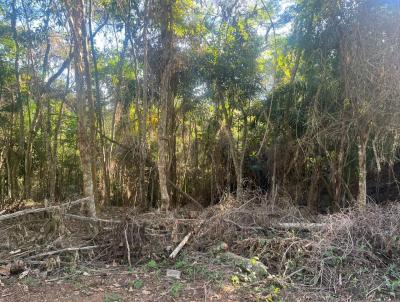 Terreno para Venda, em Juiz de Fora, bairro Novo Horizonte