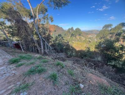 Terreno para Venda, em Juiz de Fora, bairro Novo Horizonte