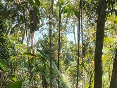 rea para Venda, em Caraguatatuba, bairro Massaguau