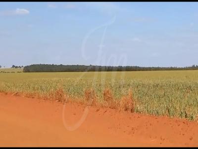 Fazenda para Venda, em Prata, bairro Fazenda para Venda Municipio do Prata MG