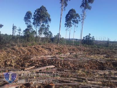 Stio para Venda, em Avar, bairro RURAL