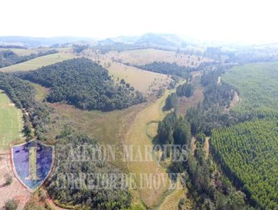 Stio para Venda, em Avar, bairro RURAL