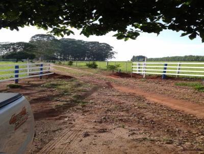 Stio para Venda, em Pratnia, bairro RURAL