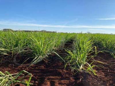 Fazenda para Venda, em Frutal, bairro Fazenda para venda municipio de Frutal MG