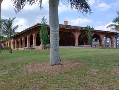 Haras para Venda, em Sarapu, bairro RURAL