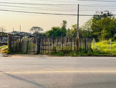 Terreno para Locao, em Sapucaia do Sul, bairro Nova Sapucaia