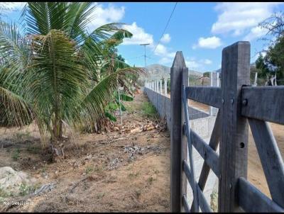 Stio para Venda, em Jacobina, bairro Zona rural