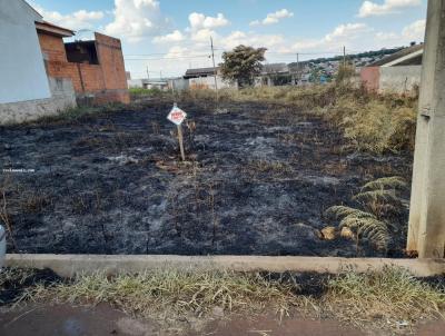 Terreno para Venda, em Apucarana, bairro Jd. Casagrande