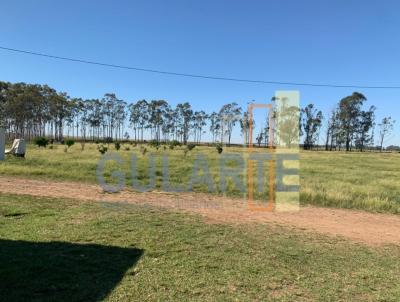 Fazenda para Venda, em Itaqui, bairro Distrito