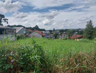 Terreno para Venda, em Quatro Barras, bairro Jardim das Gracas