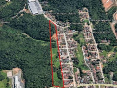 Terreno para Venda, em Joinville, bairro Floresta, 1 banheiro