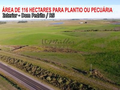 Fazenda para Venda, em Dom Pedrito, bairro Interior