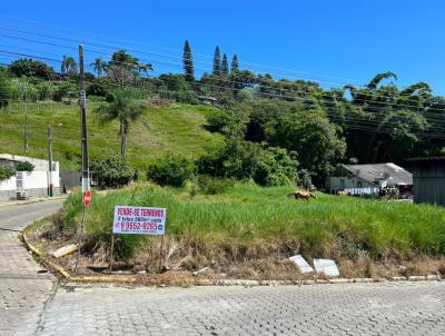 Terreno para Venda, em Cambori, bairro Areias, 1 banheiro