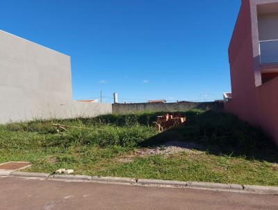 Terreno para Venda, em Araucria, bairro Capela Velha, 1 banheiro