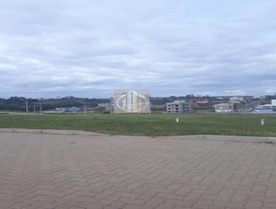 Terreno para Venda, em Gravata, bairro Dom Feliciano