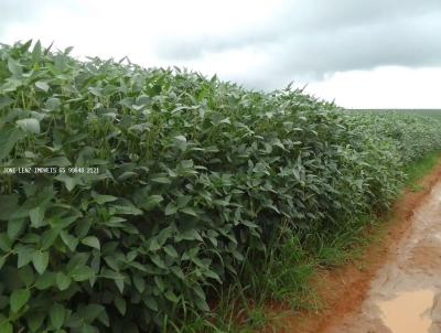 Fazenda para Venda, em Nova Ubirat, bairro FAZENDA