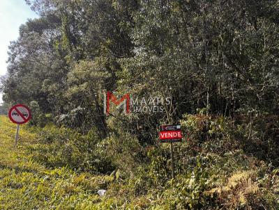 Terreno para Venda, em So Bento do Sul, bairro Industrial Sul