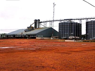 Fazenda para Venda, em Brasnorte, bairro FAZENDA