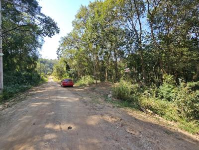 Terreno para Venda, em Atibaia, bairro Loteamento Bosque dos Palmares