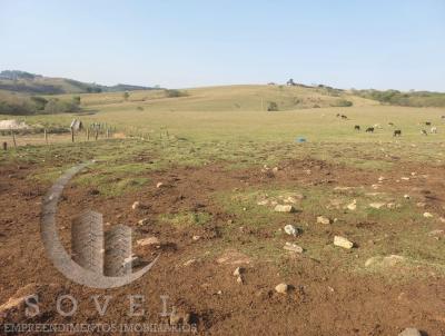 Stio para Venda, em Ipena, bairro Zona rural de Ipeuna, 2 dormitrios, 1 banheiro