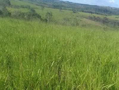 Fazenda para Venda, em Uberaba, bairro Fazenda para venda Municipio de Uberaba MG