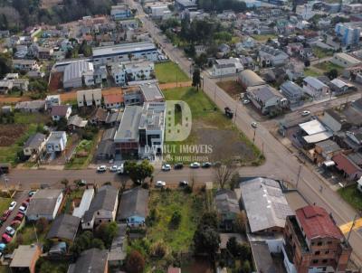 Terreno para Venda, em Erechim, bairro linho