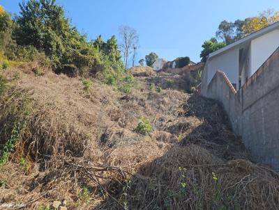 Lote para Venda, em Santa Rita do Sapuca, bairro MONTE VERDE