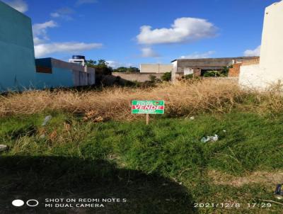 Terreno Urbano para Venda, em Santa Vitria do Palmar, bairro CENTRO