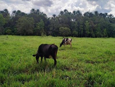 Stio / Chcara para Venda, em Uberaba, bairro Sitio para venda Uberaba MG