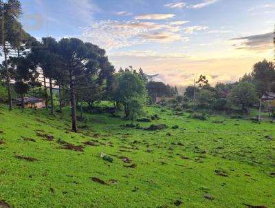 Chcara para Venda, em So Francisco de Paula, bairro Samambaia