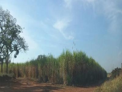 Stio / Chcara para Venda, em Prata, bairro Sitio para venda Prata MG